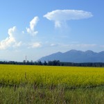 The idyllic location of the Flathead Valley.